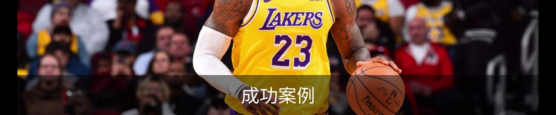成功案例