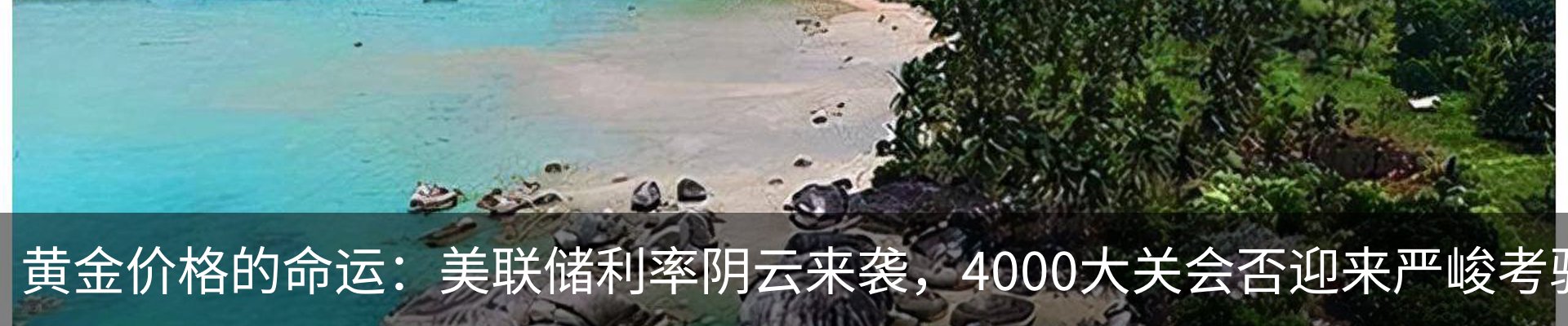 行业资讯
